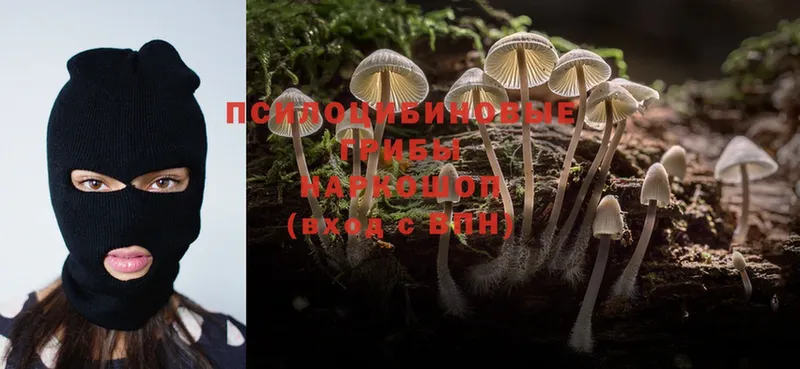 Псилоцибиновые грибы Magic Shrooms  Свободный 